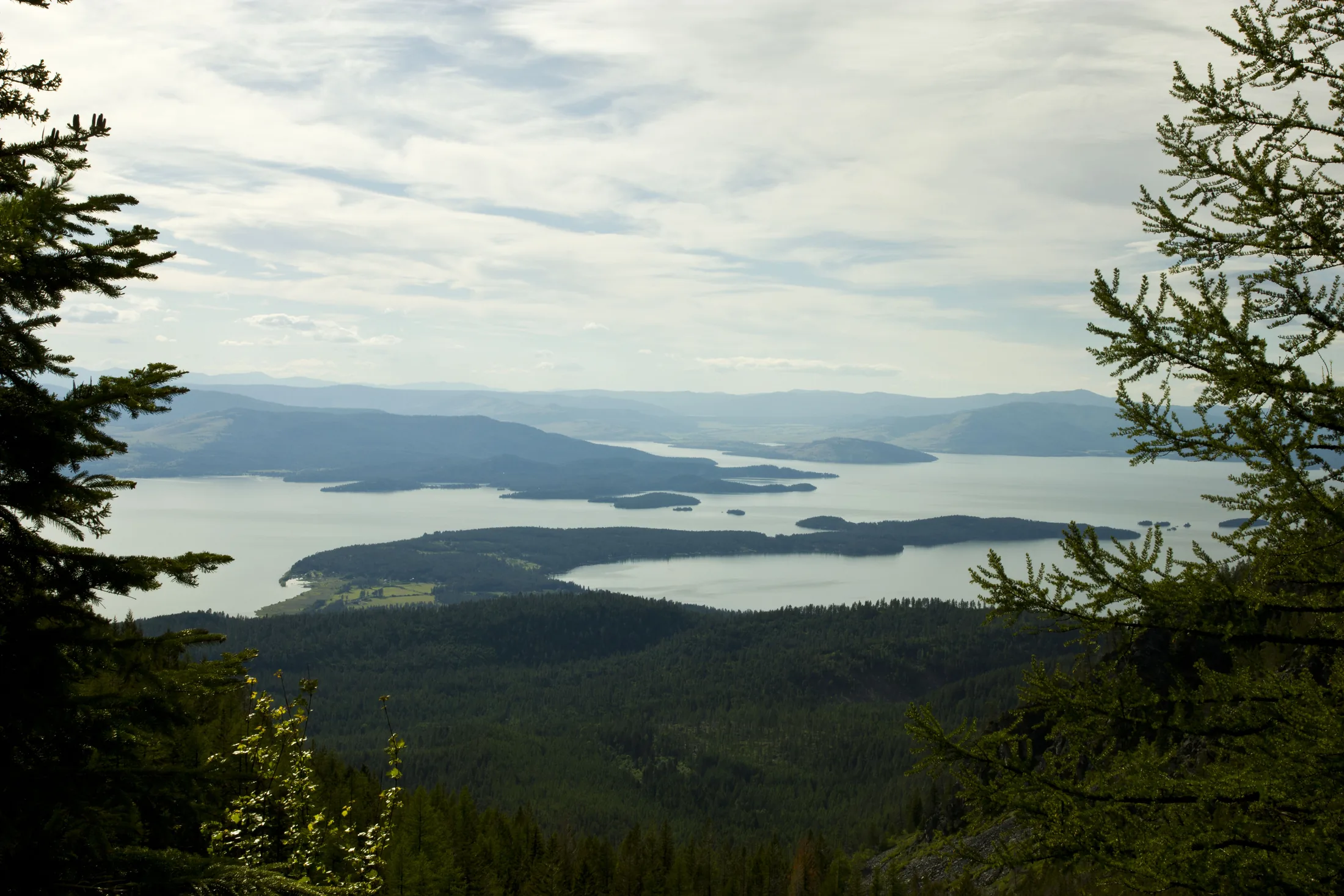 A mountain overlook above Flathead Lake with evergreen trees framing the water